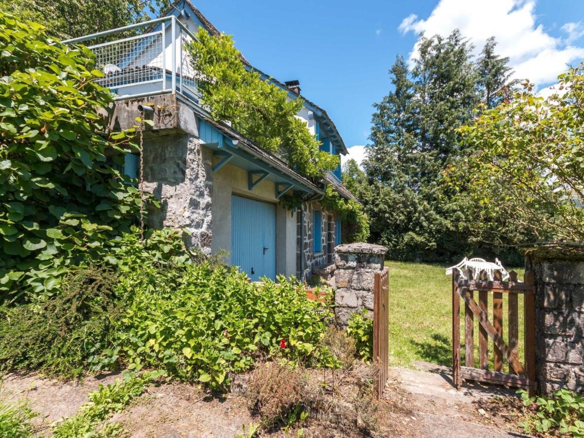 Beautiful Villa In The Parc Des Volcans D Auvergne Vic-sur-Cère Dış mekan fotoğraf