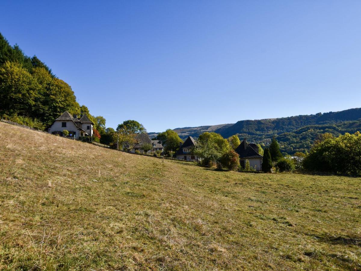 Beautiful Villa In The Parc Des Volcans D Auvergne Vic-sur-Cère Dış mekan fotoğraf