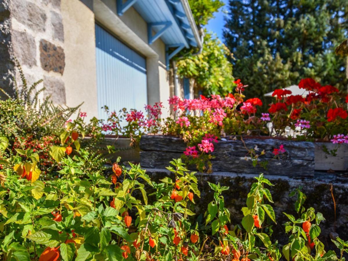 Beautiful Villa In The Parc Des Volcans D Auvergne Vic-sur-Cère Dış mekan fotoğraf