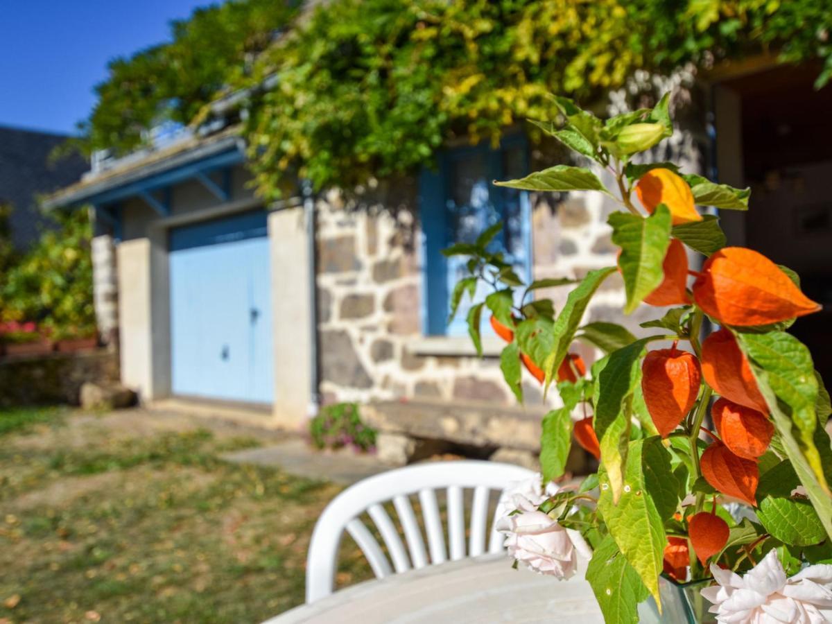 Beautiful Villa In The Parc Des Volcans D Auvergne Vic-sur-Cère Dış mekan fotoğraf